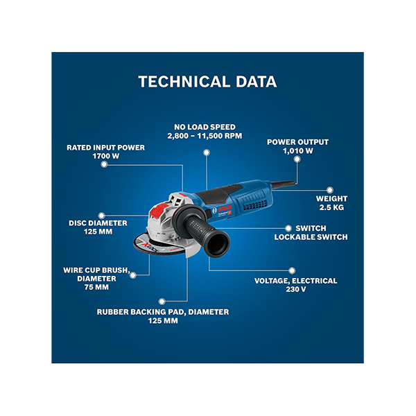 Bosch GWX 17-125S