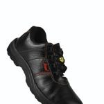 Paragon Tufboot 746